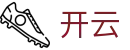 KAIYUN开云美国世界杯-洛杉矶波士顿等城市赛事投注