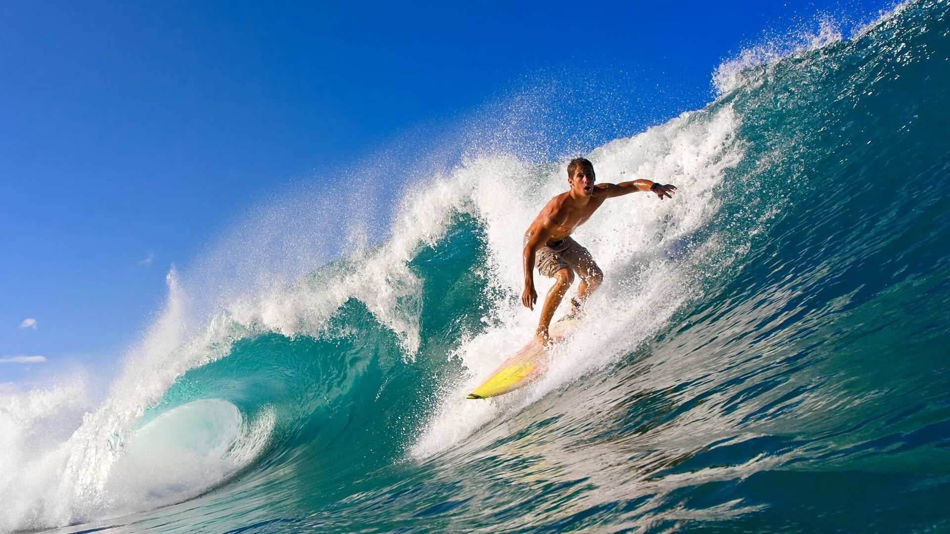 明日方舟“未来守护”线下决赛点燃全场,明日方舟w还有机会